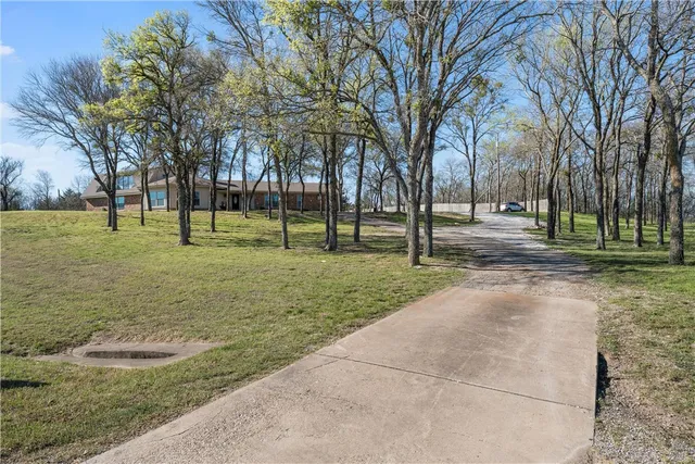 a view of a park with large trees