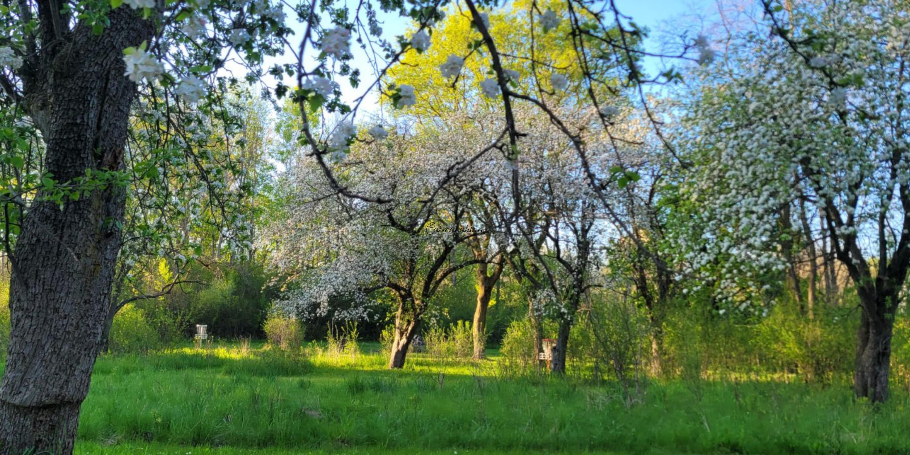1115 Greendale Road Sheboygan, WI 53081 - Photo 8 of 49 Drone 3