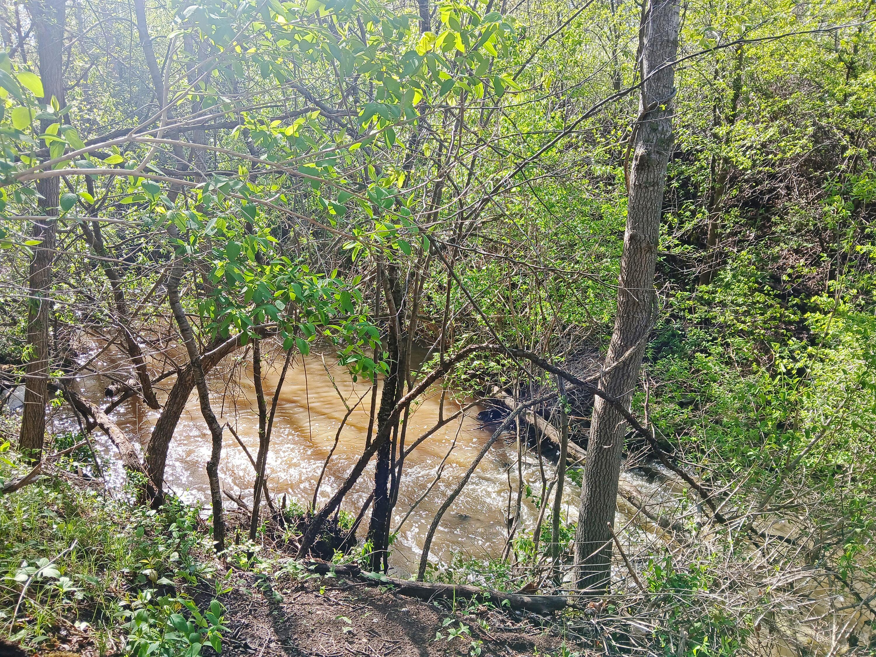 1115 Greendale Road Sheboygan, WI 53081 - Photo 36 of 49 Willow Creek
