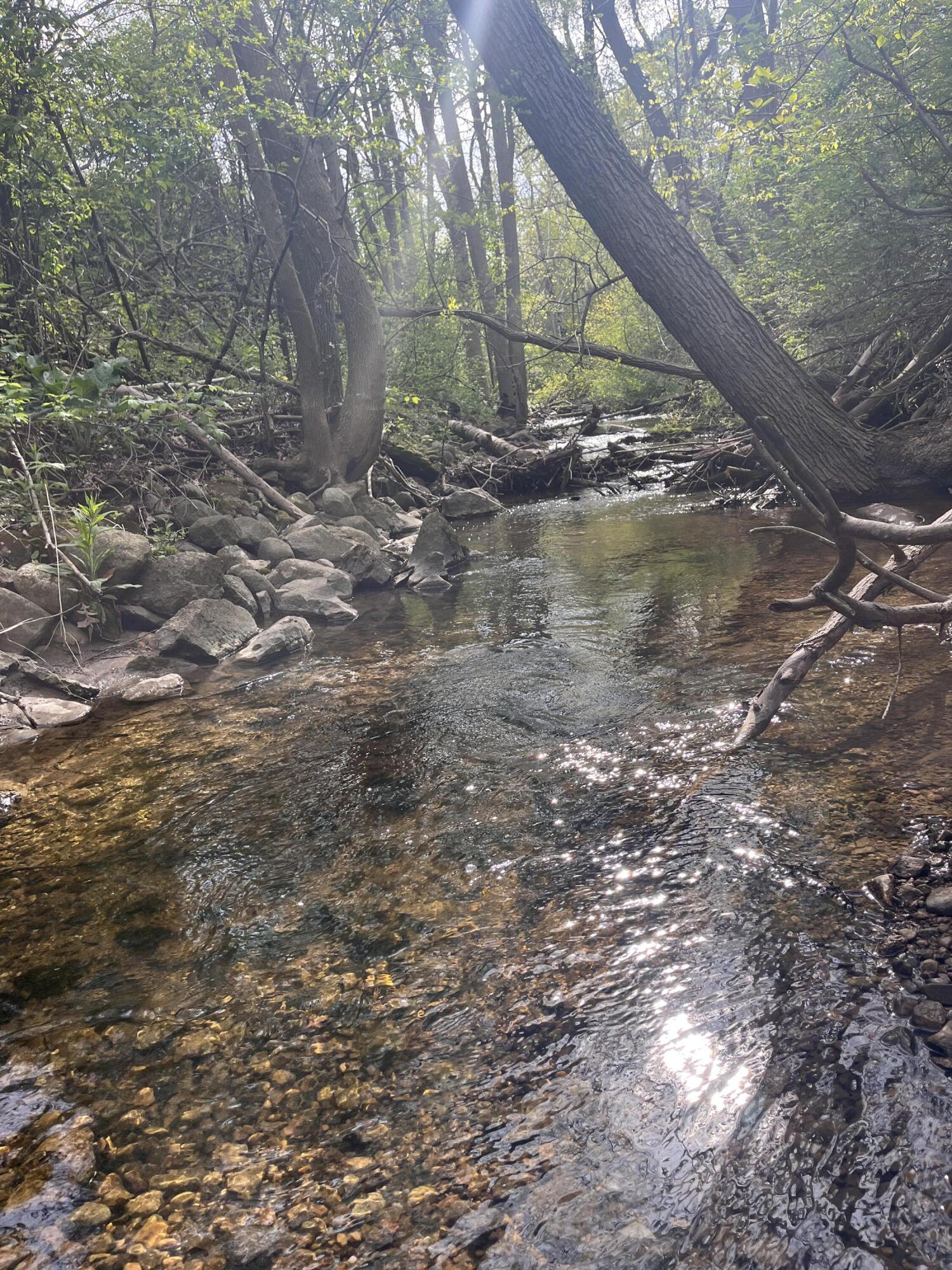 1115 Greendale Road Sheboygan, WI 53081 - Photo 7 of 49 IMG_4810