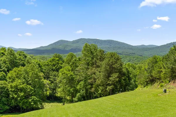 a view of a lush green hillside and a houses