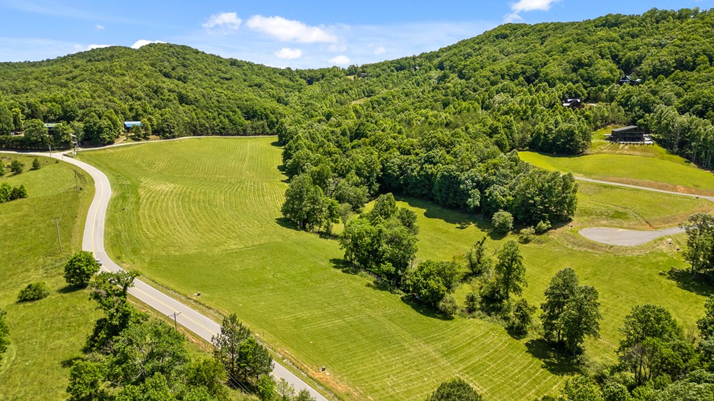 Lot 12 Squirrel Hunt Road Blairsville, GA 30512 - Photo 13 of 23