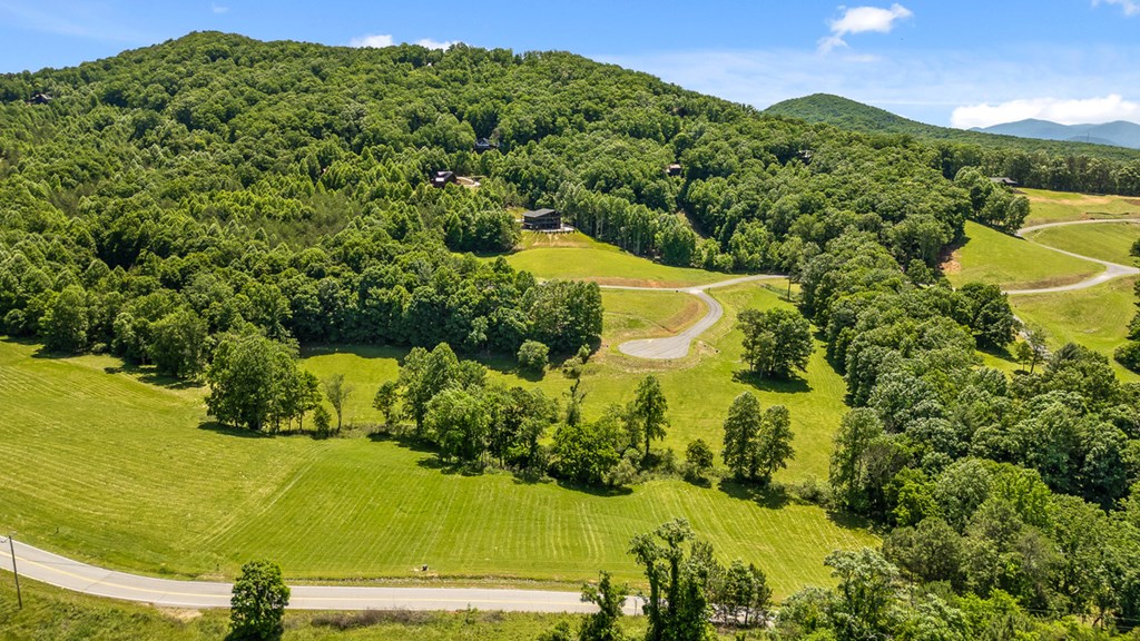 Lot 12 Squirrel Hunt Road Blairsville, GA 30512 - Photo 14 of 23