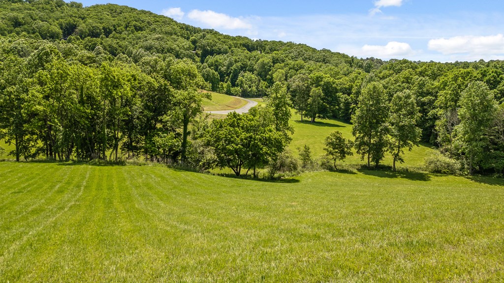 Lot 12 Squirrel Hunt Road Blairsville, GA 30512 - Photo 15 of 23