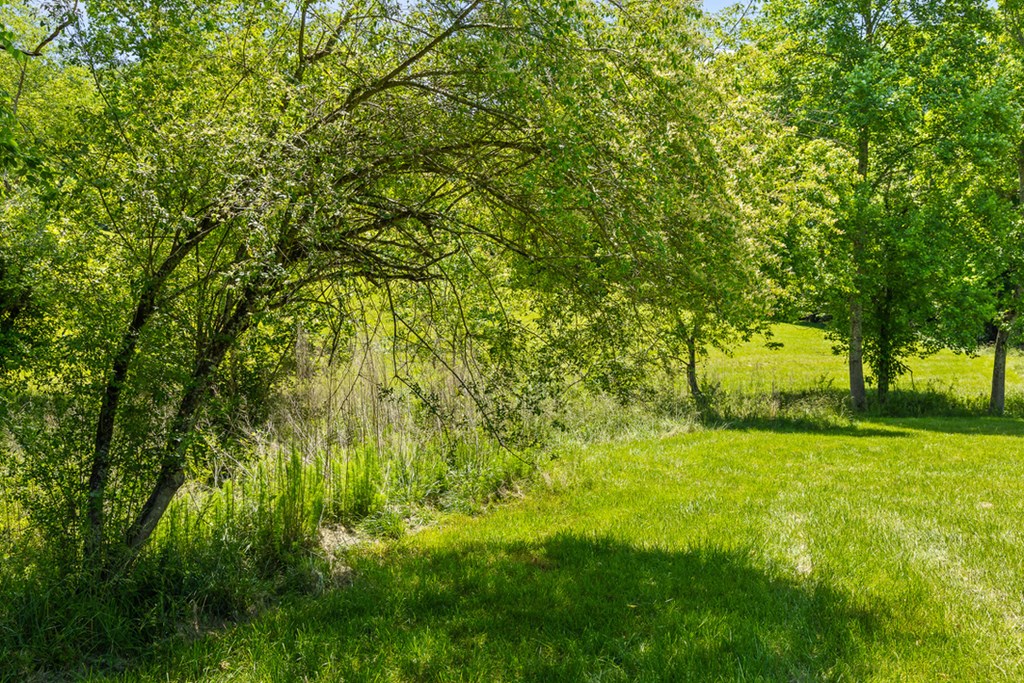Lot 12 Squirrel Hunt Road Blairsville, GA 30512 - Photo 16 of 23