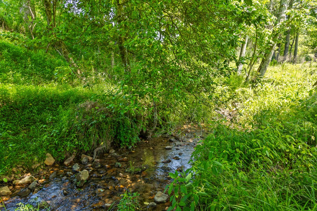 Lot 12 Squirrel Hunt Road Blairsville, GA 30512 - Photo 17 of 23