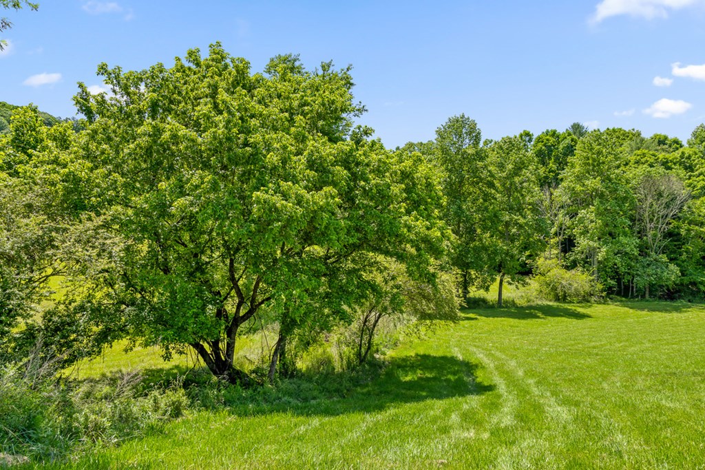 Lot 12 Squirrel Hunt Road Blairsville, GA 30512 - Photo 2 of 23
