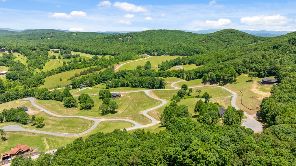 Lot 12 Squirrel Hunt Road Blairsville, GA 30512 - Photo 23 of 23
