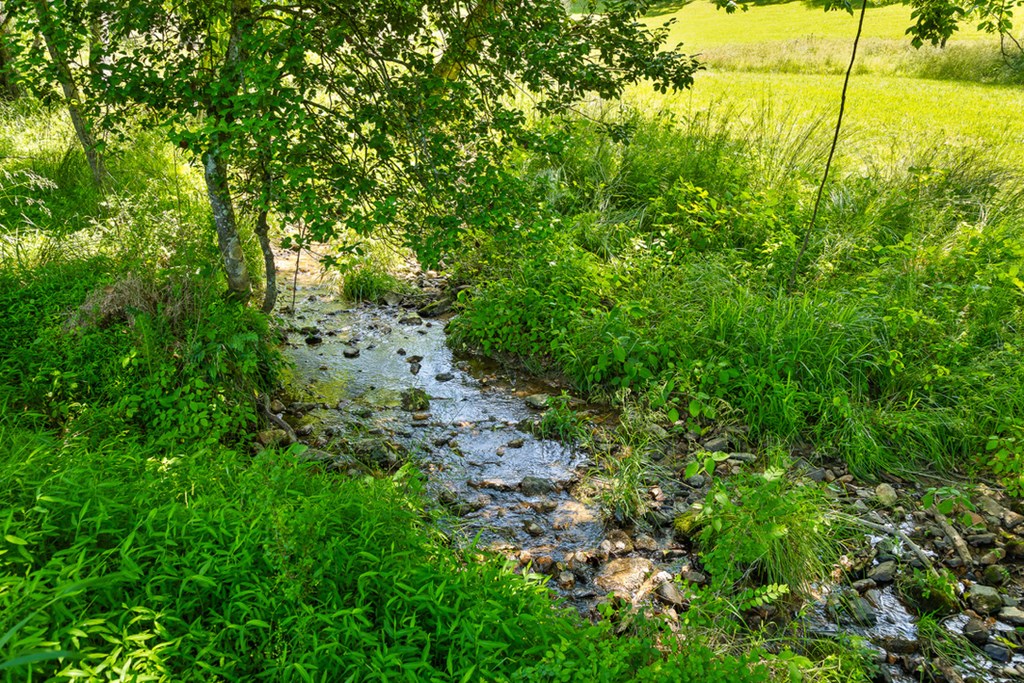 Lot 12 Squirrel Hunt Road Blairsville, GA 30512 - Photo 3 of 23