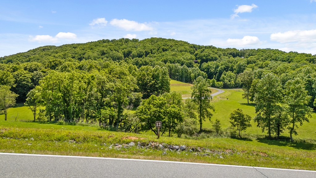 Lot 12 Squirrel Hunt Road Blairsville, GA 30512 - Photo 4 of 23