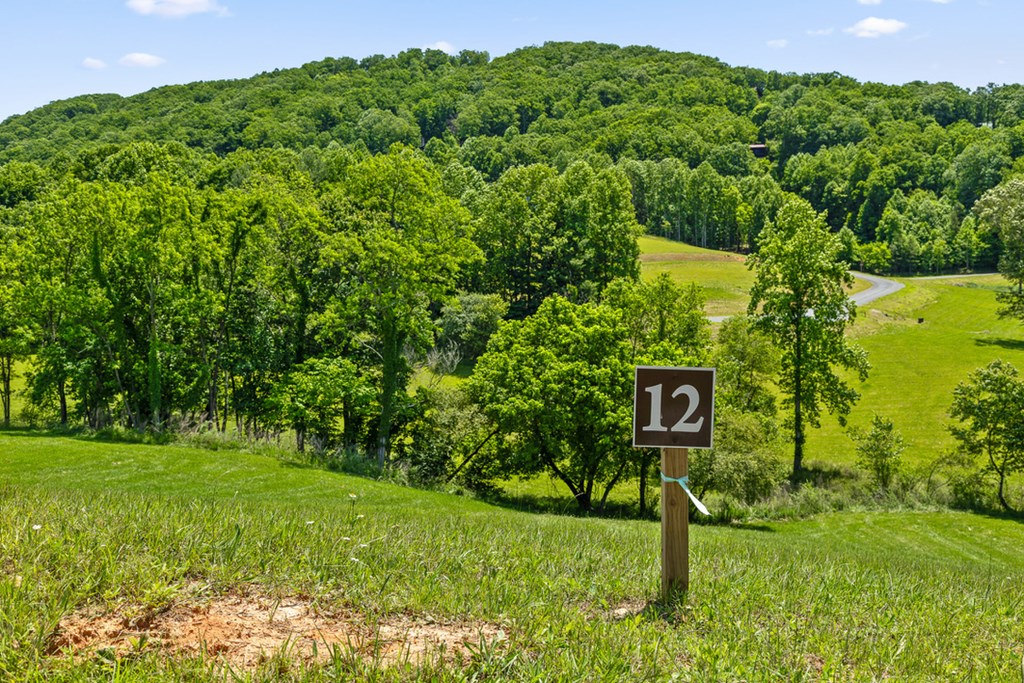 Lot 12 Squirrel Hunt Road Blairsville, GA 30512 - Photo 5 of 23