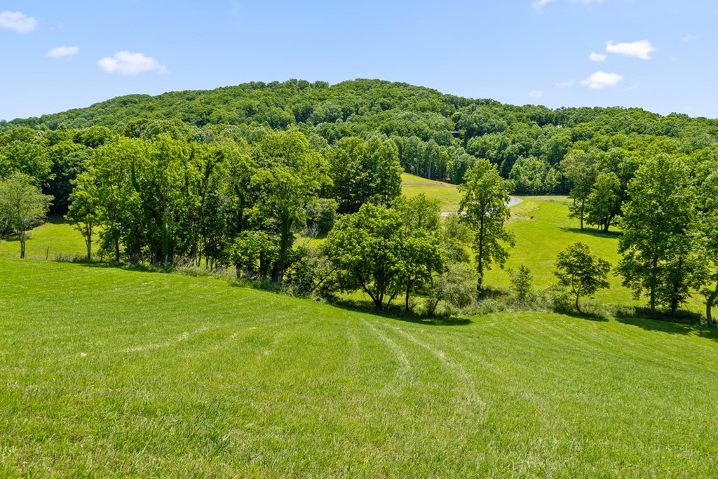 Lot 12 Squirrel Hunt Road Blairsville, GA 30512 - Photo 6 of 23