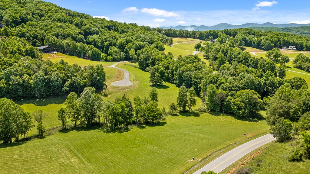 Lot 12 Squirrel Hunt Road Blairsville, GA 30512 - Photo 7 of 23