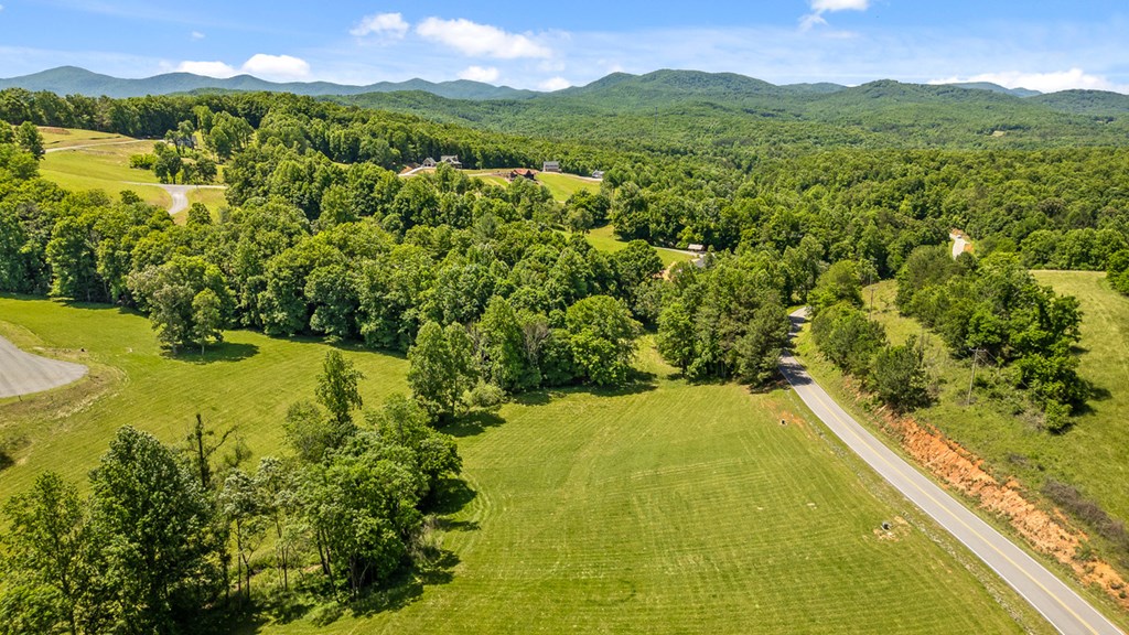 Lot 12 Squirrel Hunt Road Blairsville, GA 30512 - Photo 8 of 23
