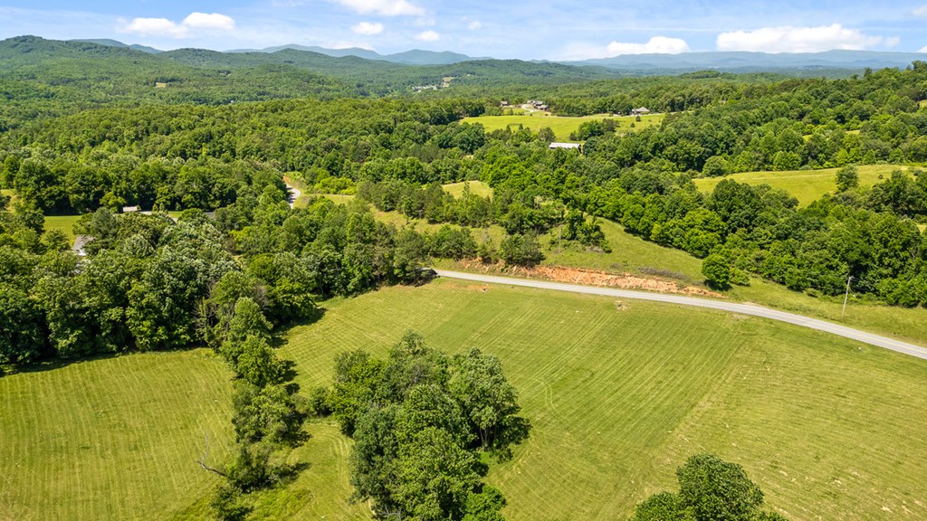 Lot 12 Squirrel Hunt Road Blairsville, GA 30512 - Photo 9 of 23