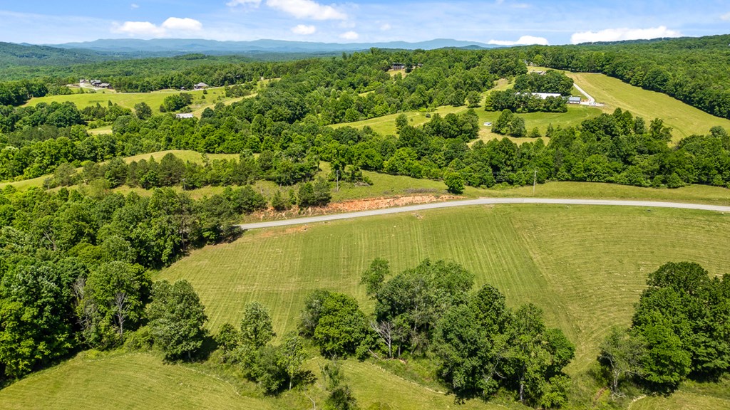 Lot 12 Squirrel Hunt Road Blairsville, GA 30512 - Photo 10 of 23