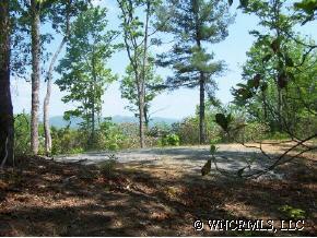 Tbd Henry Mountain Road Brevard, NC 28712 - Photo 2 of 4 a view of a park