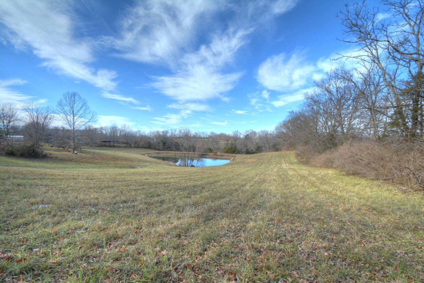2926 Cummins Ferry Road Versailles, KY 40383 - Photo 15 of 42 Pond View from Cummins Ferry