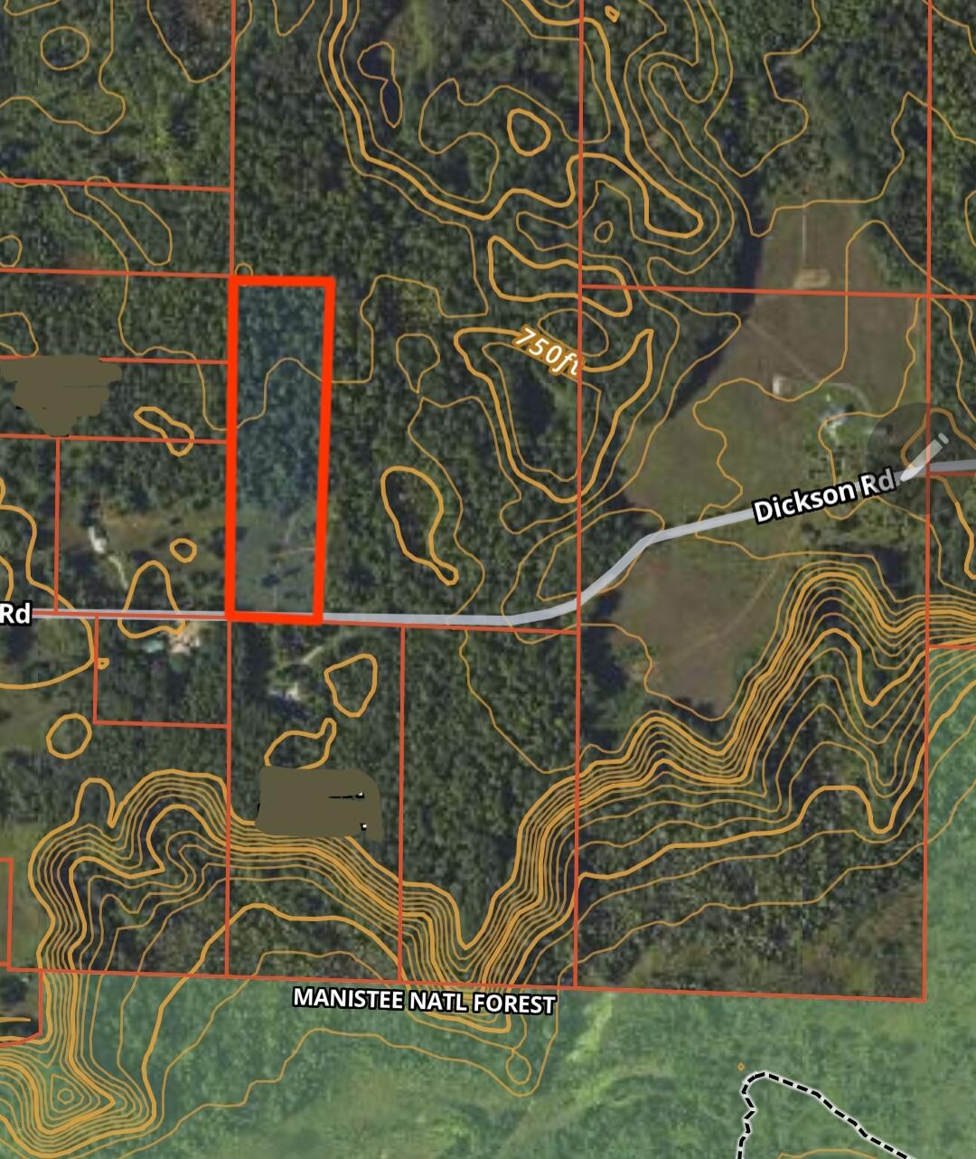 Dickson Road Brethren, MI 49619 - Photo 2 of 27 1000009488
