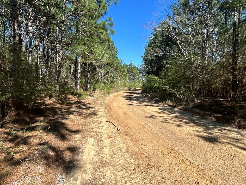 923 Lakeview Road Slocomb, AL 36375 - Photo 13 of 45