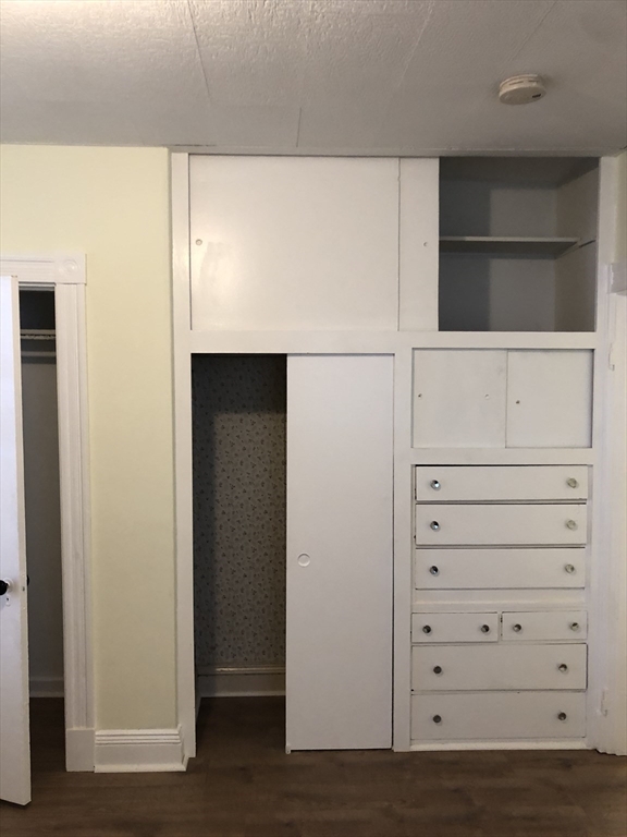 6 Rowley Street, Unit 1R Boston, MA 02122 - Photo 9 of 9 a view of walk in closet