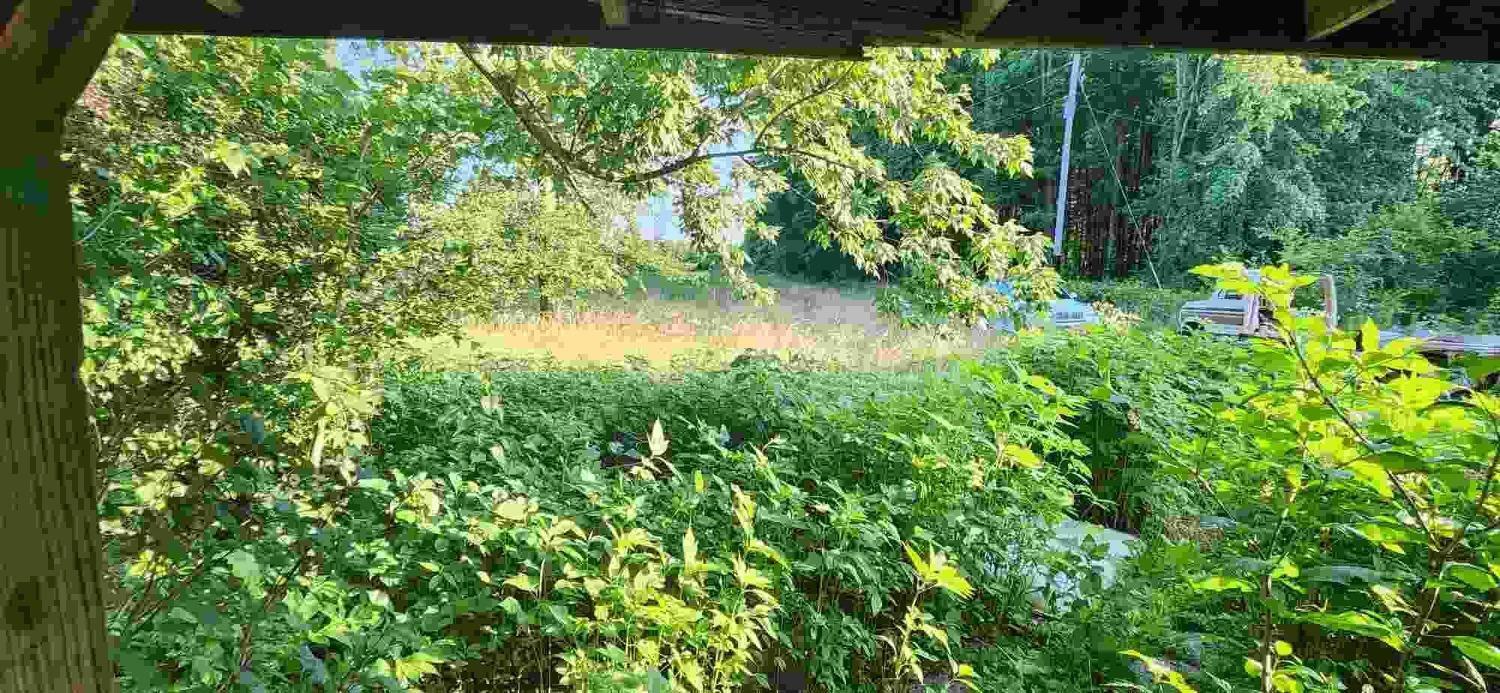 1923 Oakland-Locust Ridge Road Mount Orab, OH 45154 - Photo 6 of 17 Gallery Image 6