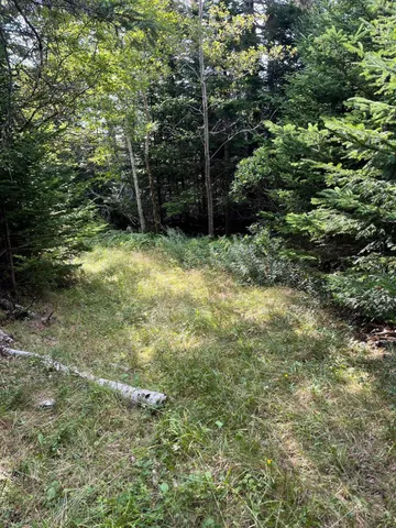 $295,000 | Lot #1 Southern Harbor Cove Haven, North Haven, ME 04853