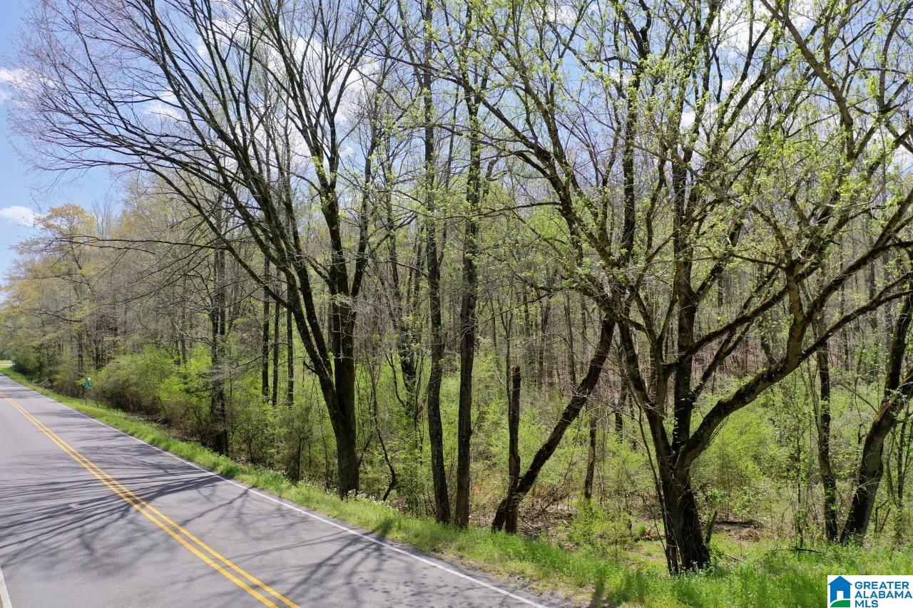 0 County Road 15 Locust Fork, AL 35097 - Photo 5 of 14