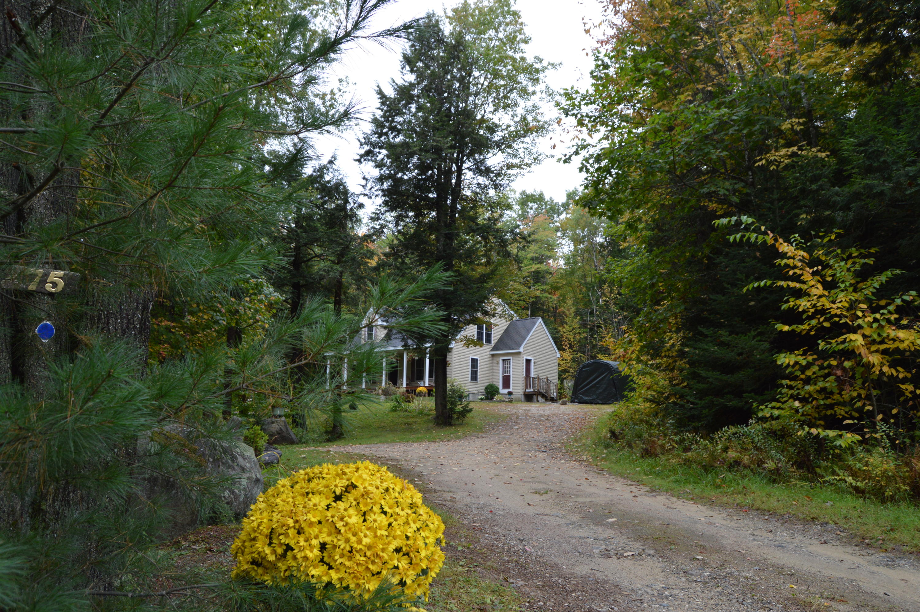 75 Bonney Hill Road Otisfield, ME 04270 - Photo 3 of 61 Private Setting