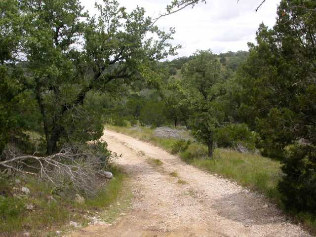 651 Lost Valley Road Dripping Springs, TX 78620 - Photo 1 of 1 a view of a yard with a tree