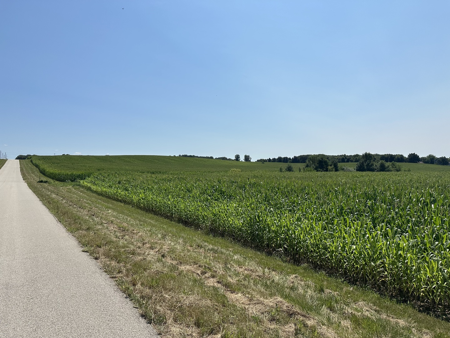 52-acres Church Road Marengo, IL 60152 - Photo 1 of 6 Gallery Image 1