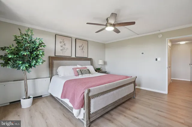 a bed room with a bed and a potted plant
