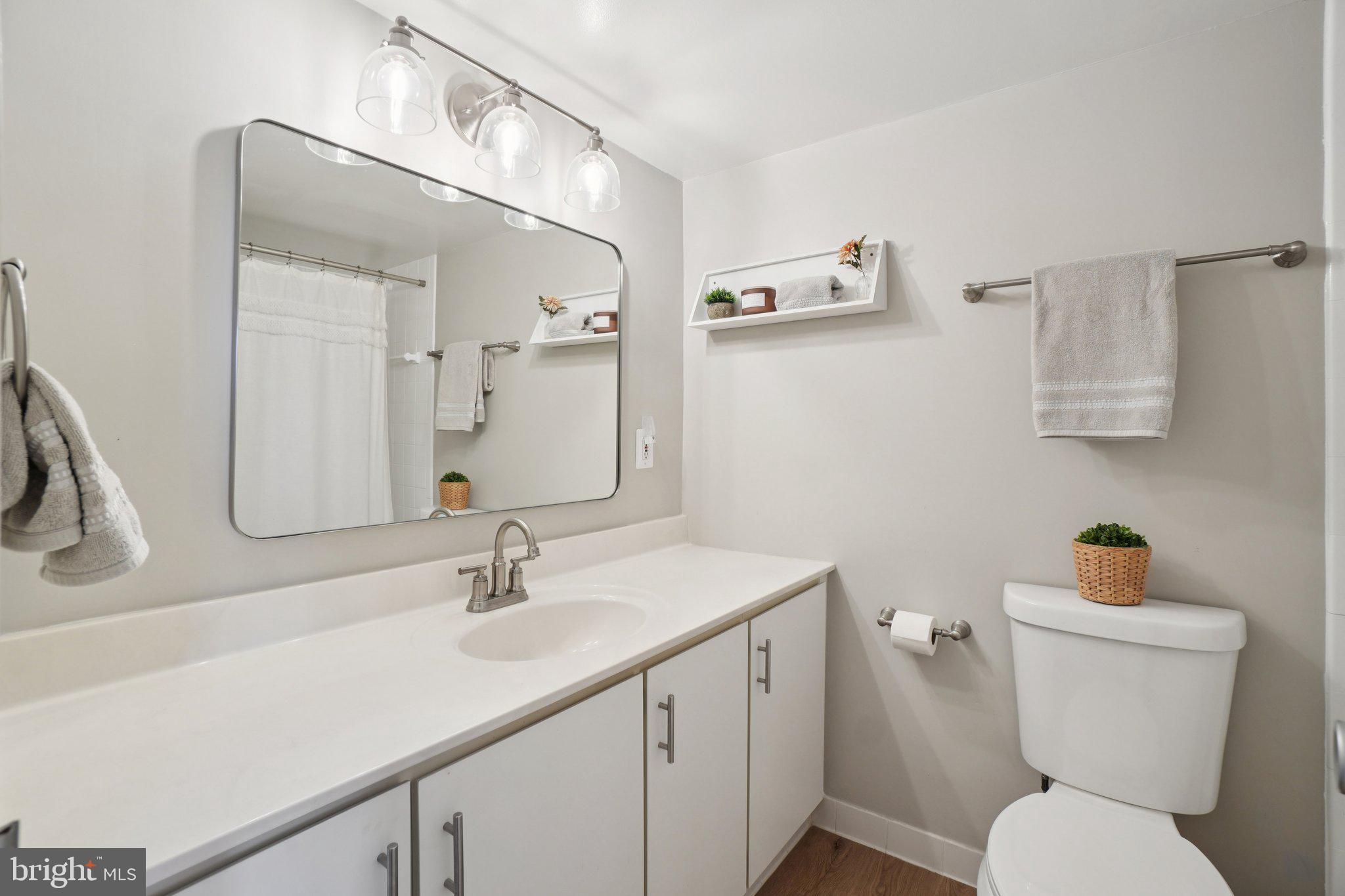 4600 South Four Mile Run Drive, Unit 842 Arlington, VA 22204 - Photo 16 of 24 a bathroom with a sink a toilet and mirror