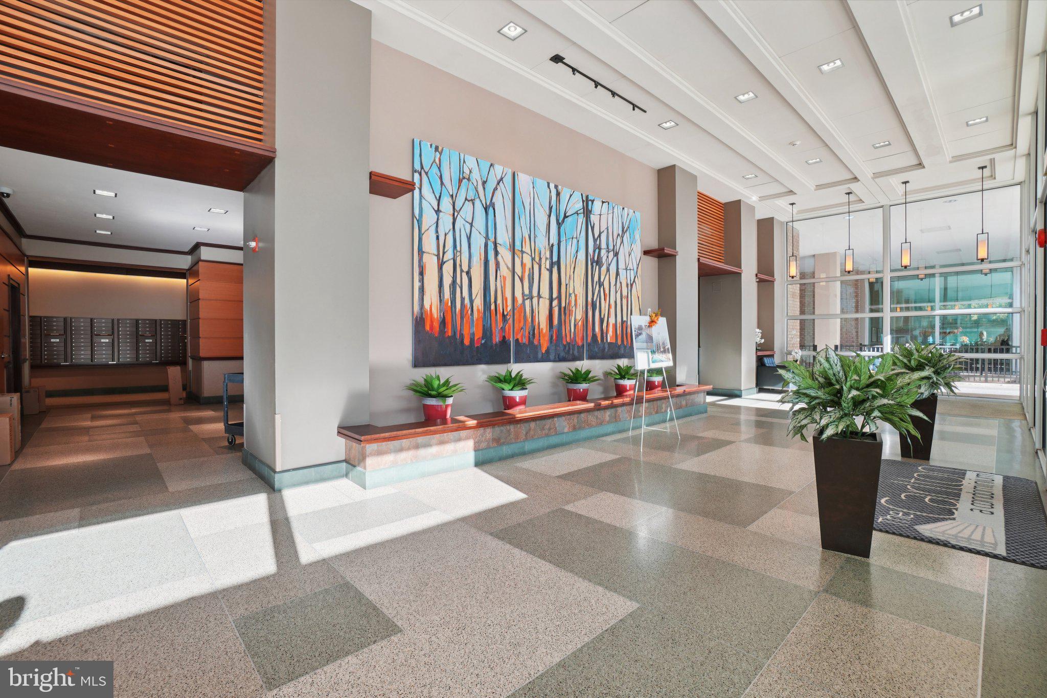 4600 South Four Mile Run Drive, Unit 842 Arlington, VA 22204 - Photo 23 of 24 a living room with furniture and a potted plant