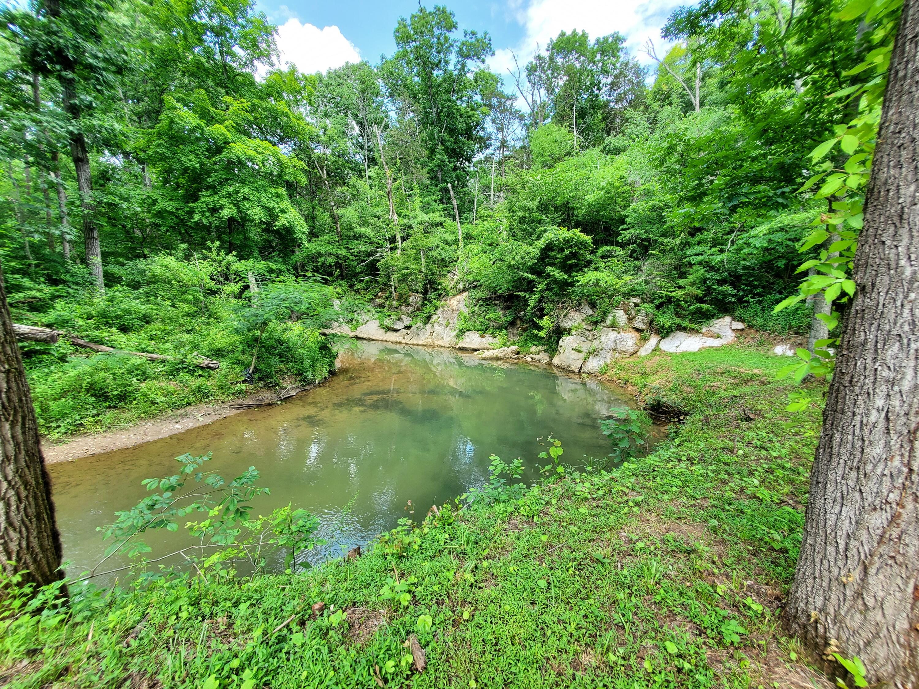 740 Cartwheel Road Greeneville, TN 37743 - Photo 7 of 102 20220606_131145