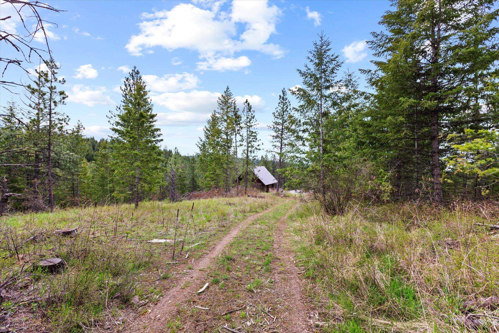 Xx East Eagle Ridge Lane Mead, WA 99021 - Photo 15 of 31