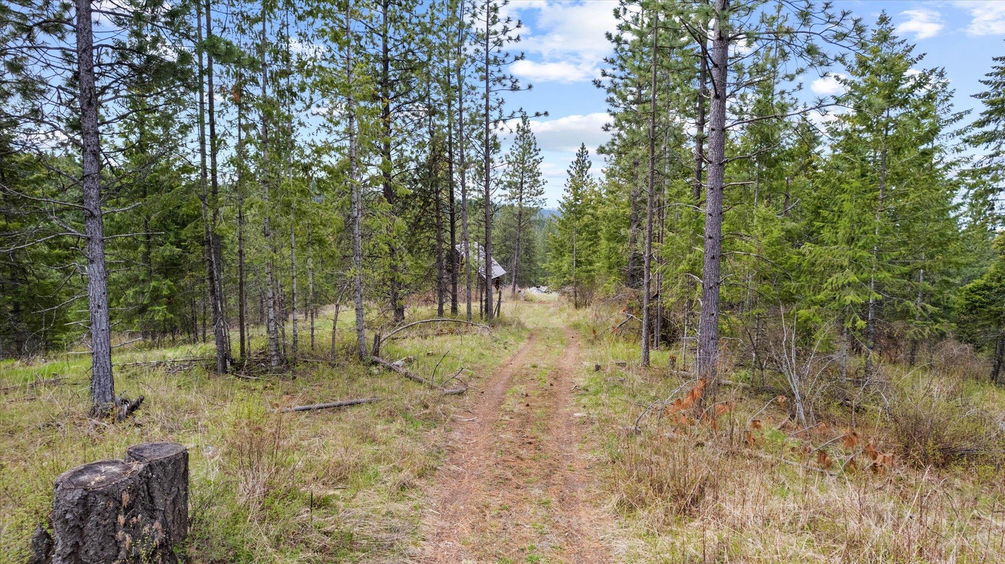 Xx East Eagle Ridge Lane Mead, WA 99021 - Photo 16 of 31