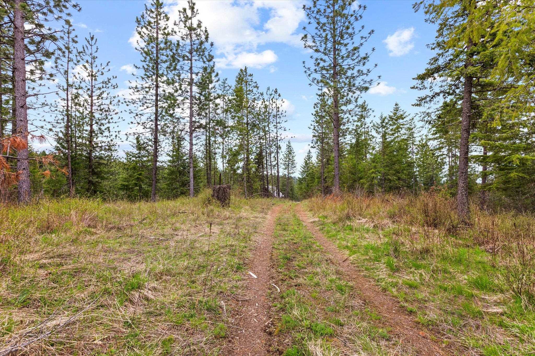 Xx East Eagle Ridge Lane Mead, WA 99021 - Photo 17 of 31