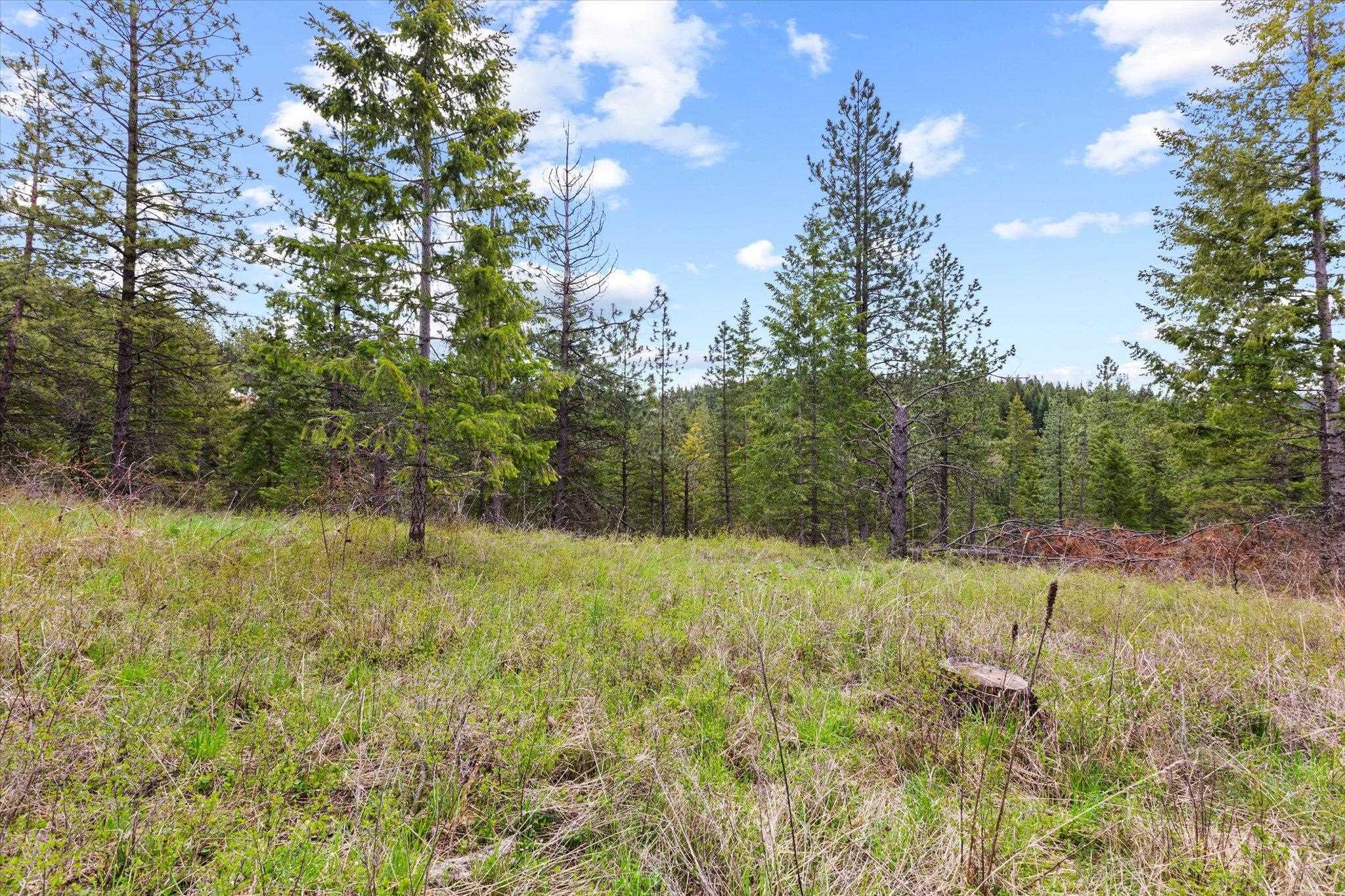 Xx East Eagle Ridge Lane Mead, WA 99021 - Photo 19 of 31