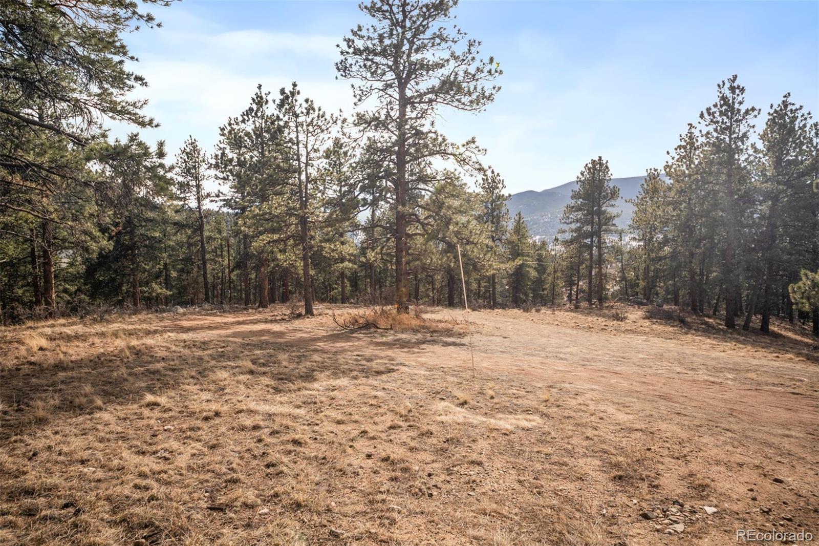 260 Bailey Drive Bailey, CO 80421 - Photo 1 of 15 a backyard of a house with trees