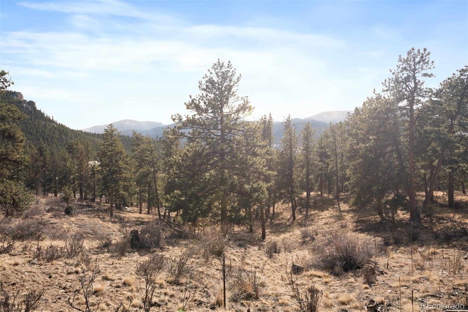 260 Bailey Drive Bailey, CO 80421 - Photo 13 of 15 a view of a forest with trees in the background