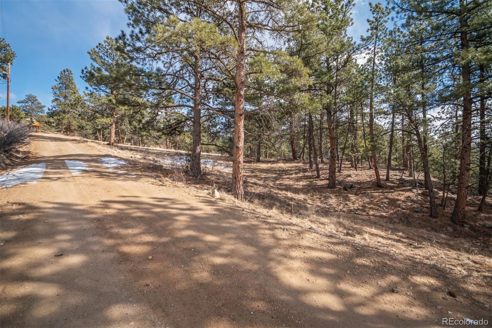 260 Bailey Drive Bailey, CO 80421 - Photo 3 of 15 a view of road with trees
