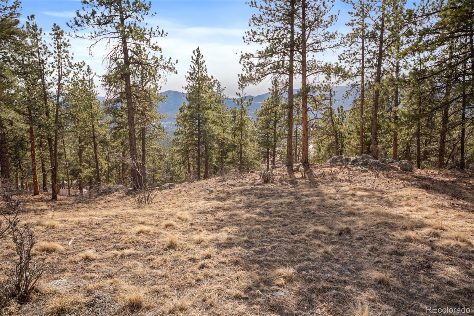 260 Bailey Drive Bailey, CO 80421 - Photo 5 of 15 a view of a yard with trees