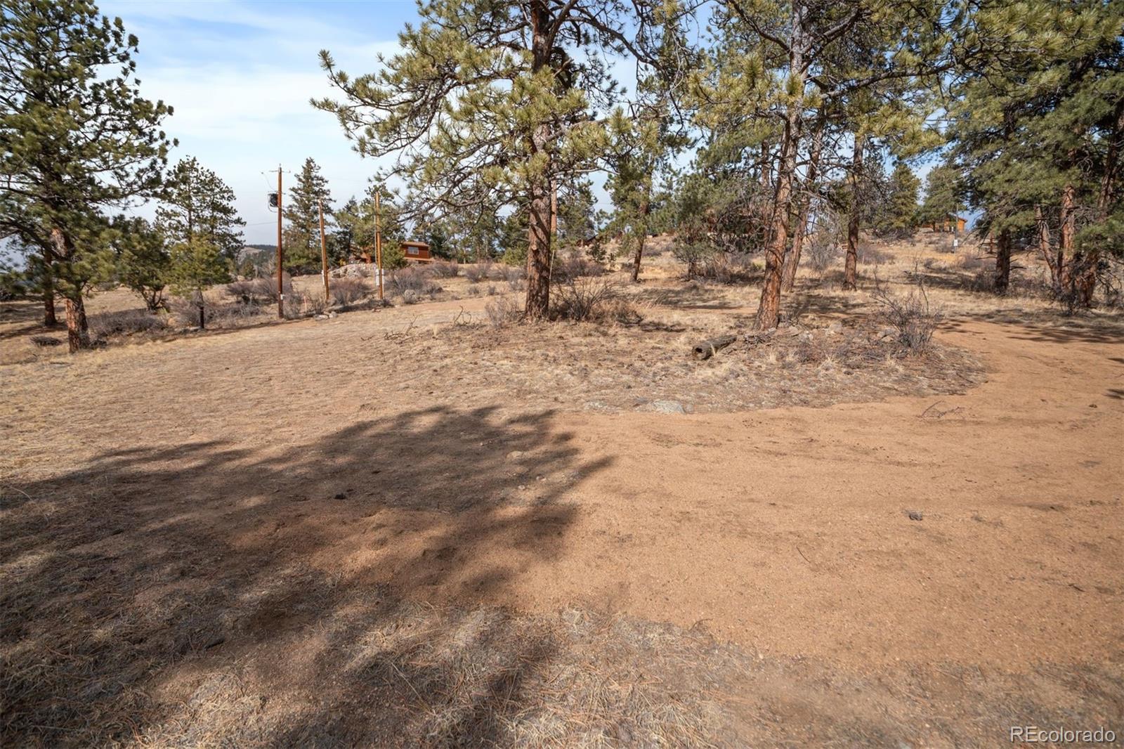 260 Bailey Drive Bailey, CO 80421 - Photo 6 of 15 a view of dirt yard with a tree