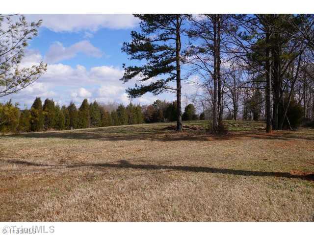 161 Dublin Road Advance, NC 27006 - Photo 15 of 16 View. View from backyard