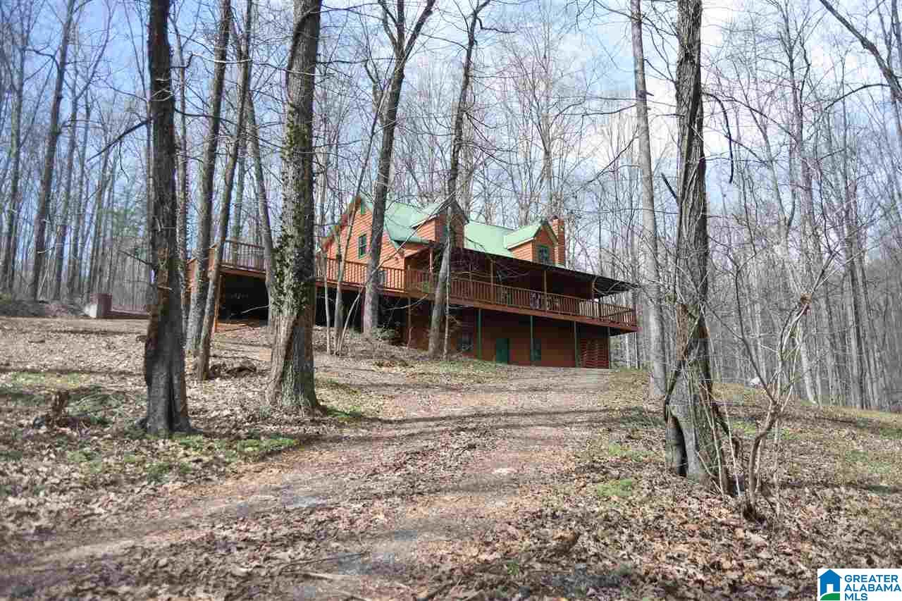11392 Highway 9 Delta, AL 36258 - Photo 2 of 49