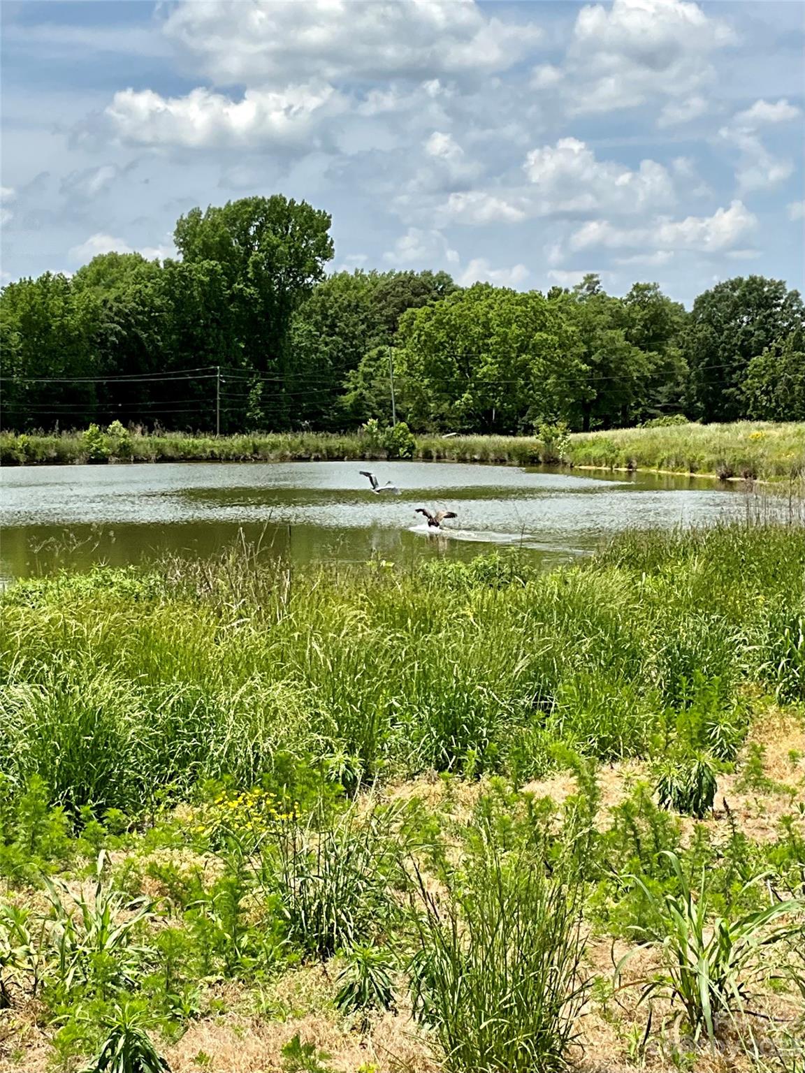 0 Griffith Road Monroe, NC 28112 - Photo 5 of 13 Gallery Image 5