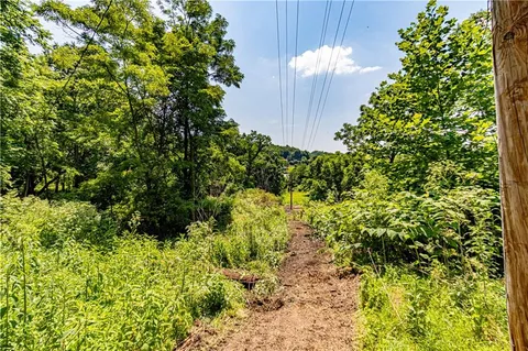 a view of a flower in a garden