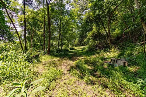 a view of outdoor space and a yard