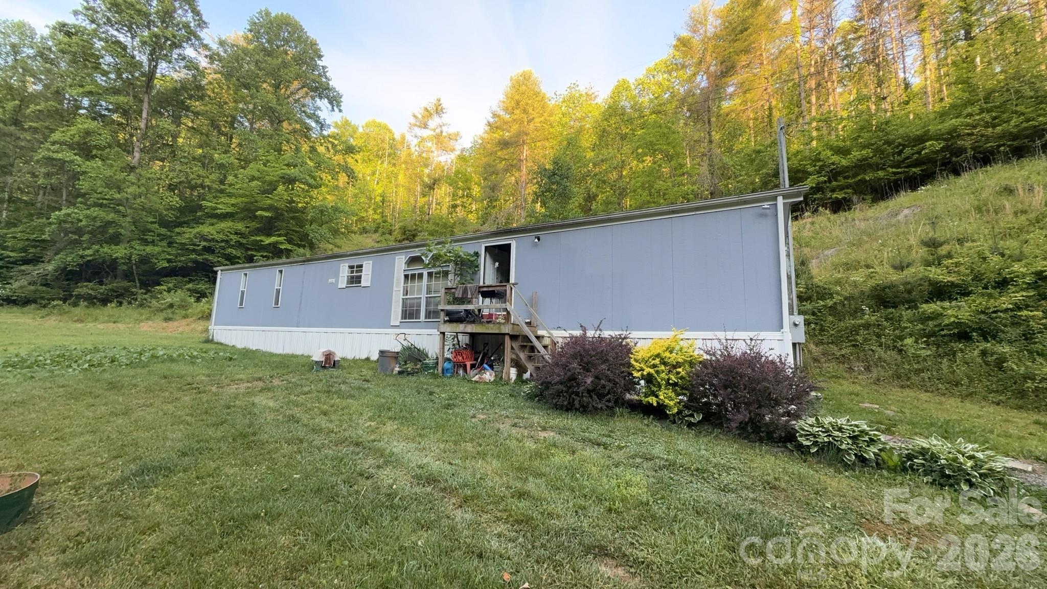 468 Long Branch Road Green Mountain, NC 28740 - Photo 2 of 25